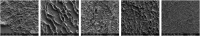 Fig. 19