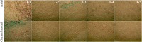 Fig. 17