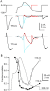 Fig. 8.