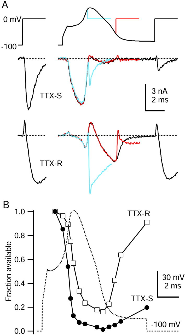 Fig. 8.