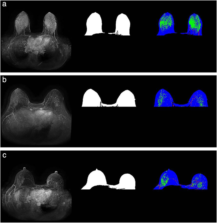 FIGURE 3: