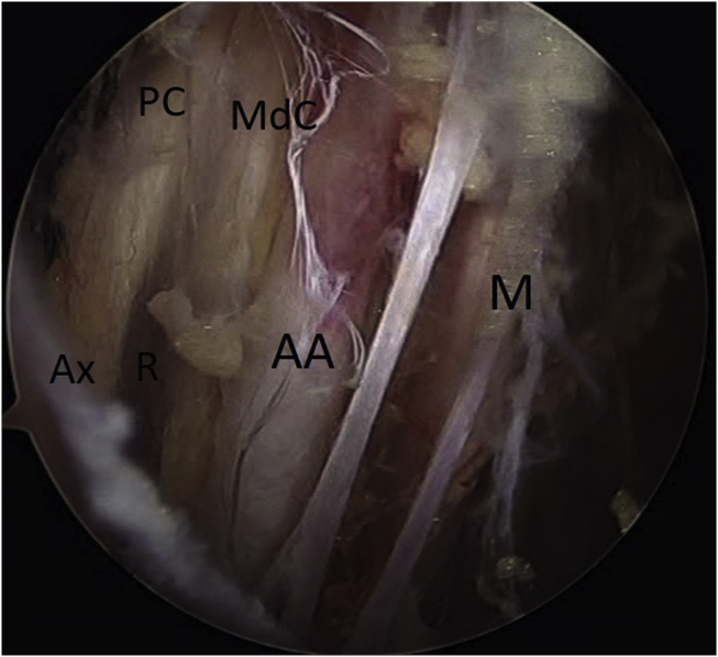 Fig. 3