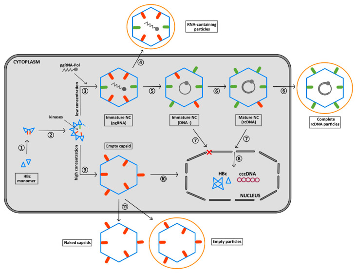 Figure 10