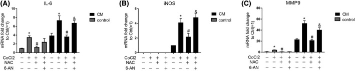 Fig. 6