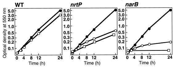 FIG. 3