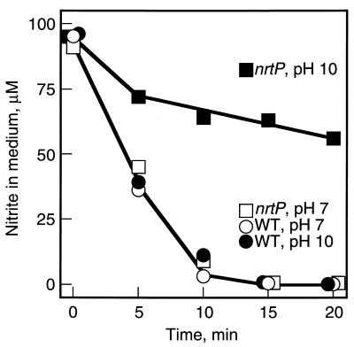 FIG. 4