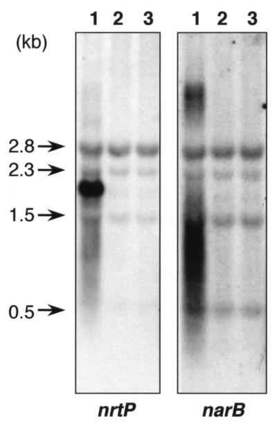 FIG. 5