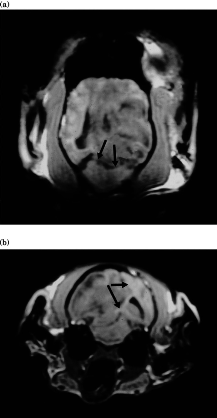 Fig 1.