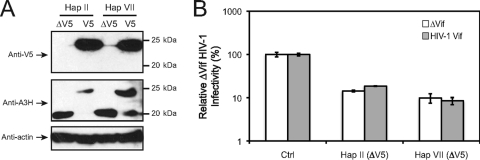 FIG. 6.