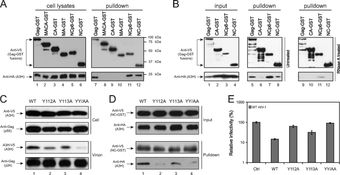 FIG. 4.