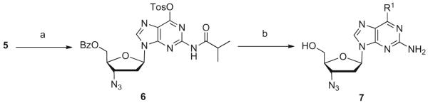 Scheme 2