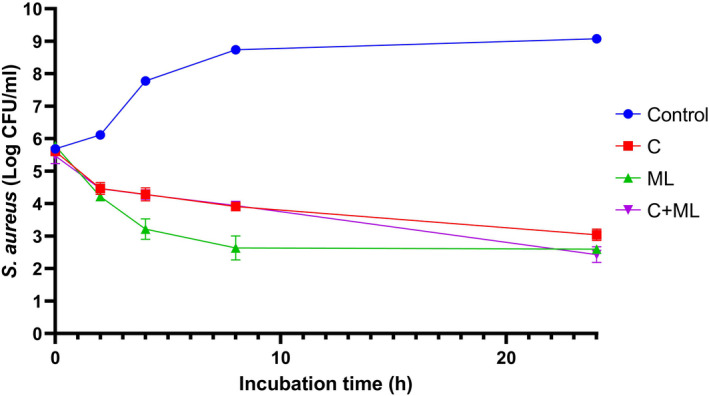 FIGURE 3