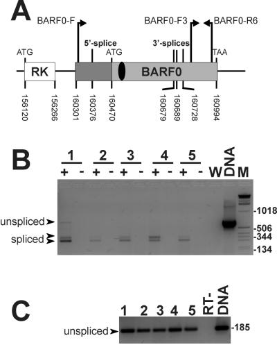 FIG. 4