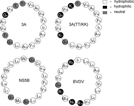 FIG. 6.