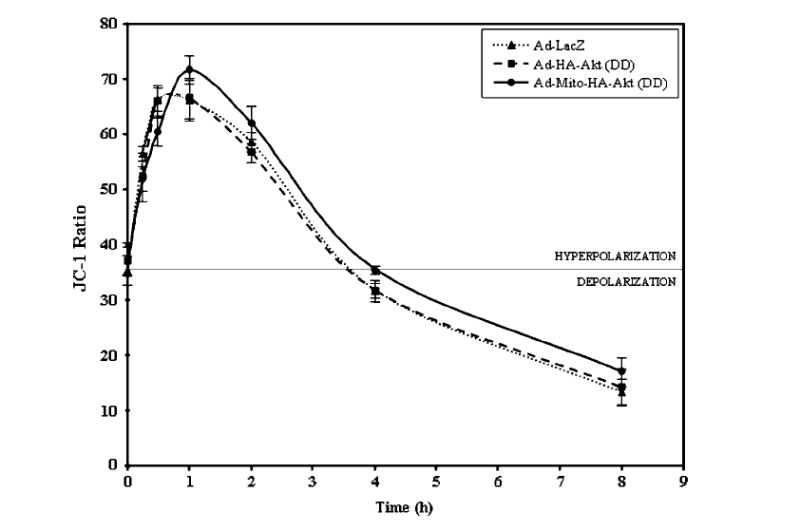 Fig. 7