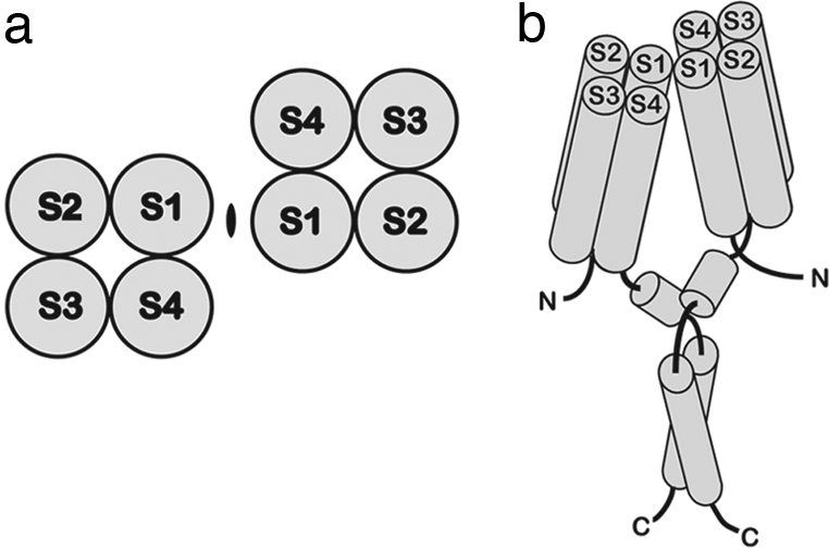 Fig. 5.