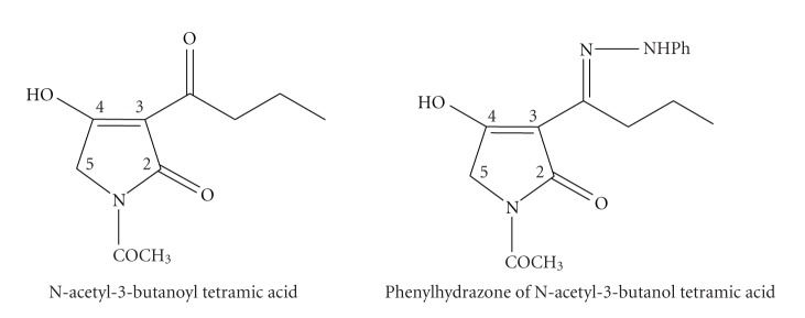 Scheme 9