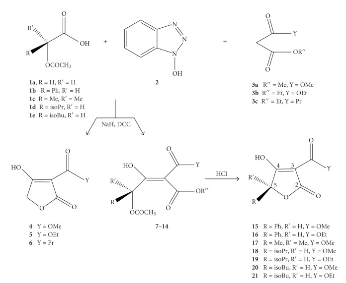 Scheme 6