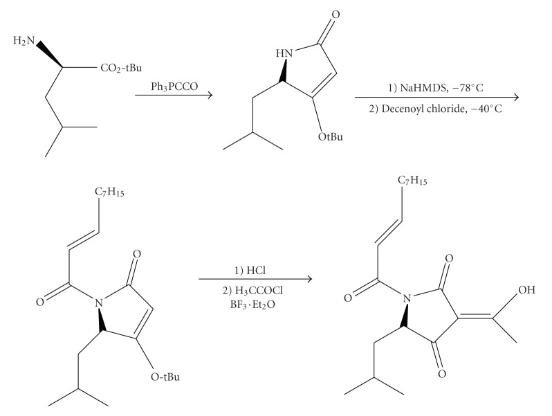 Scheme 2