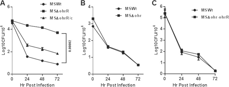 FIG 6