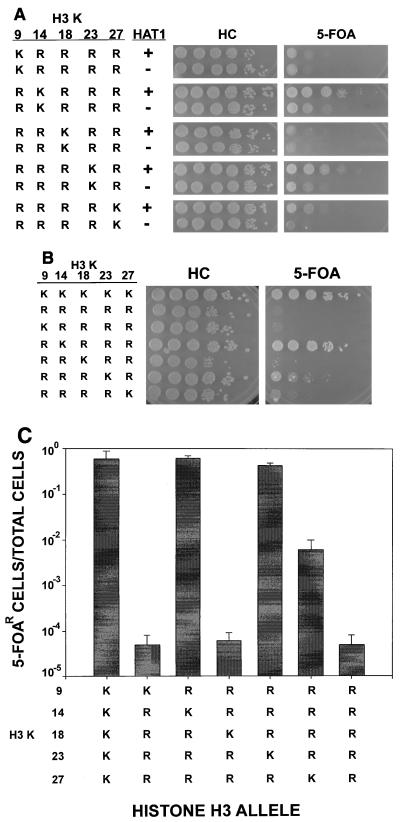 FIG. 4