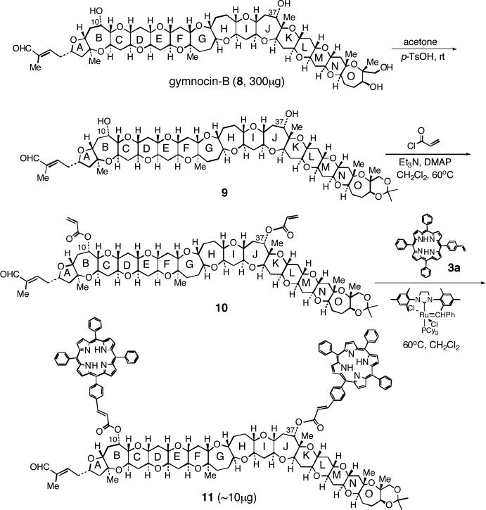 Scheme 3