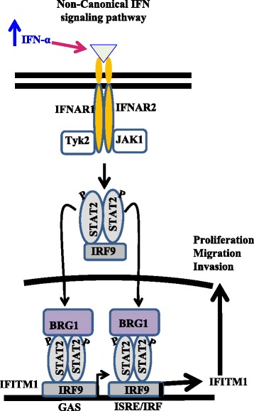 Fig. 9