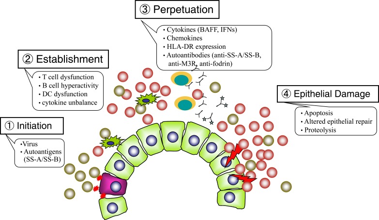 Fig. (1)