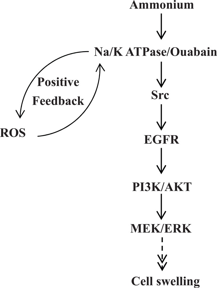 Fig. (1)