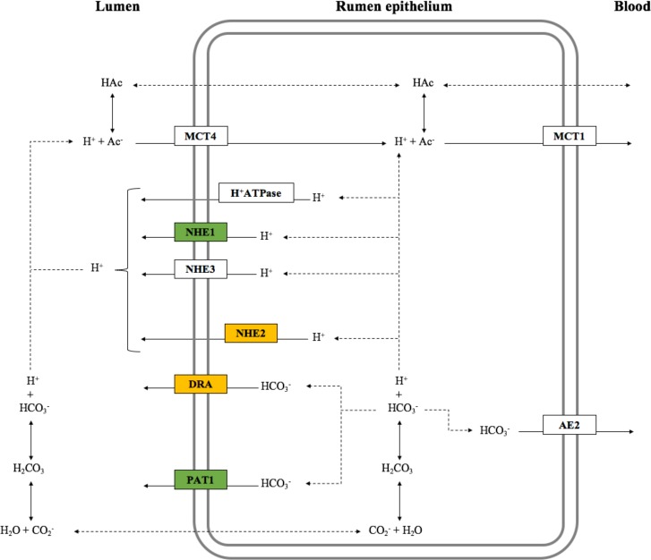 Fig 2