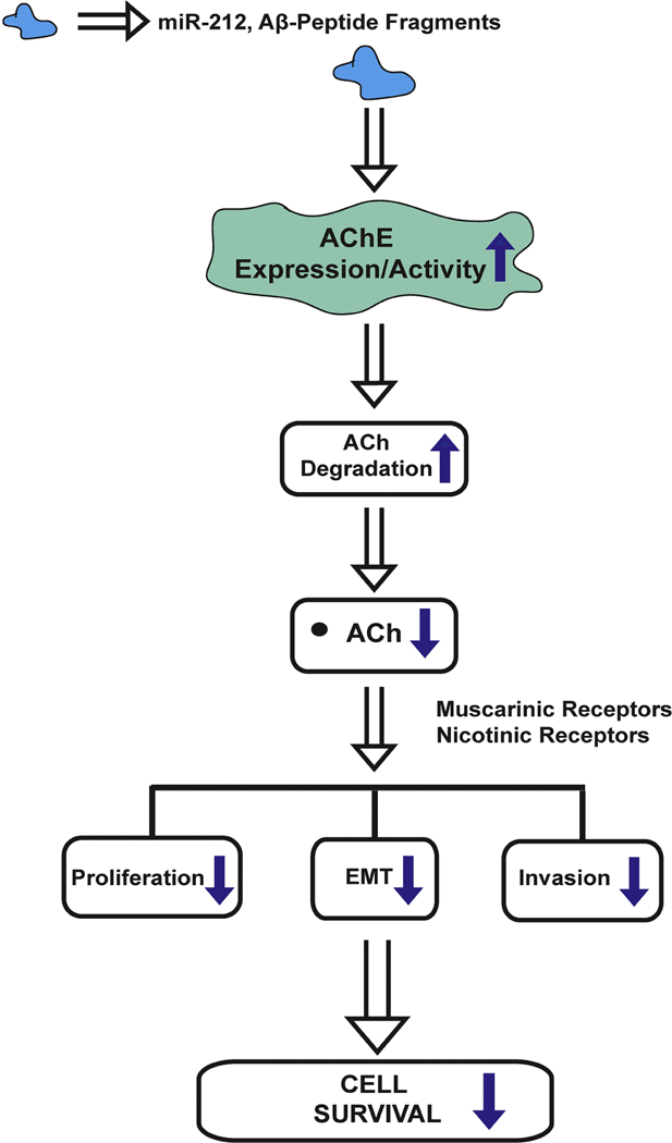 Figure 14.