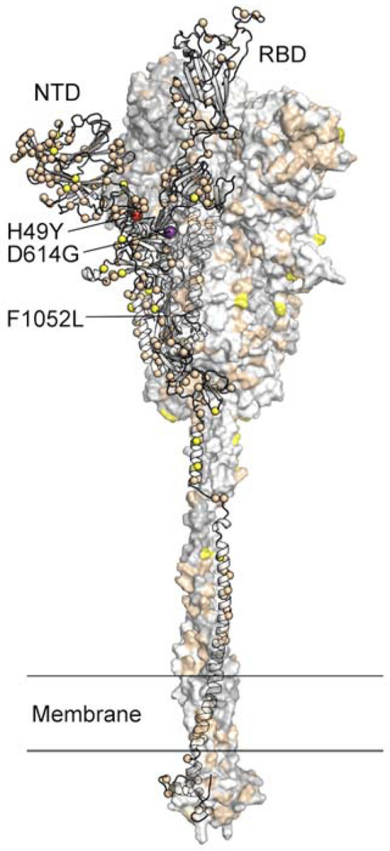 FIG 6