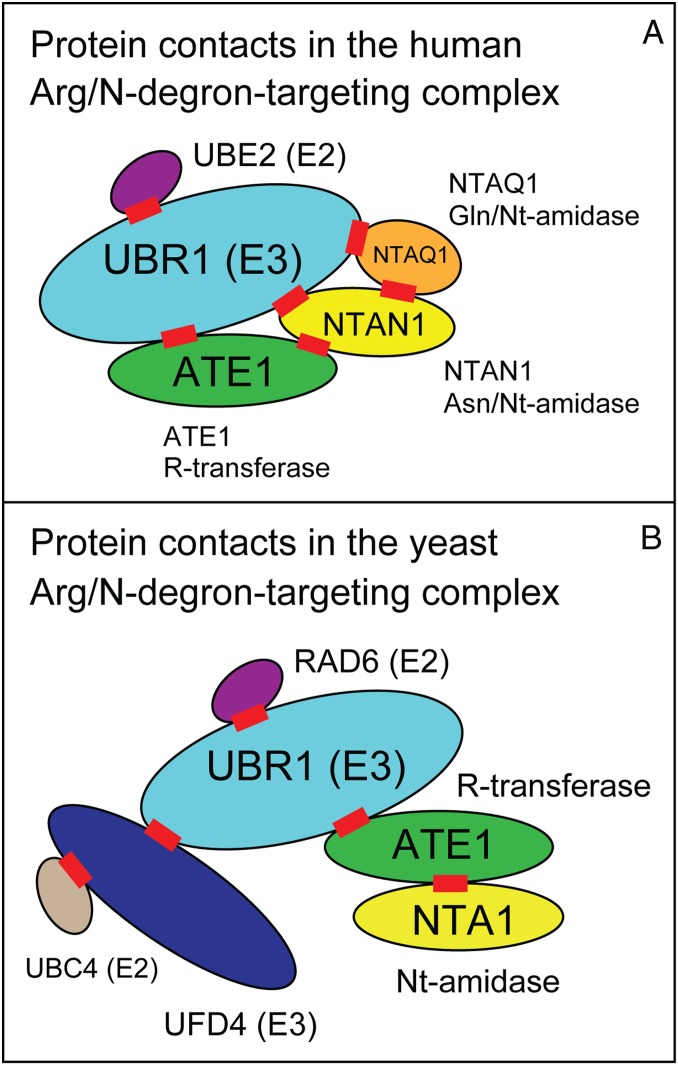 Fig. 6.