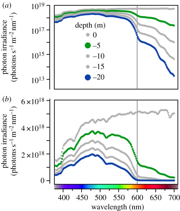 Figure 1.