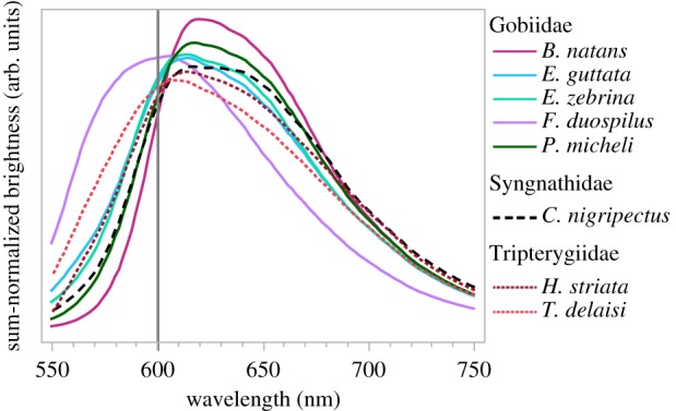 Figure 4.