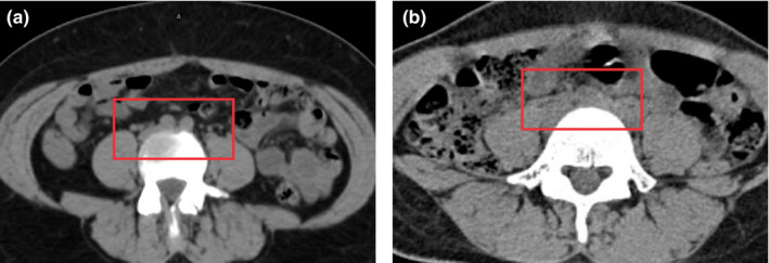 Fig. 8