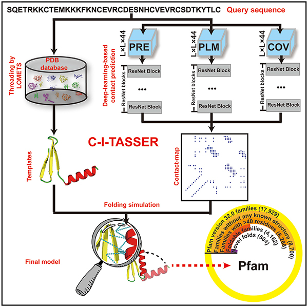 graphic file with name nihms-1728154-f0001.jpg