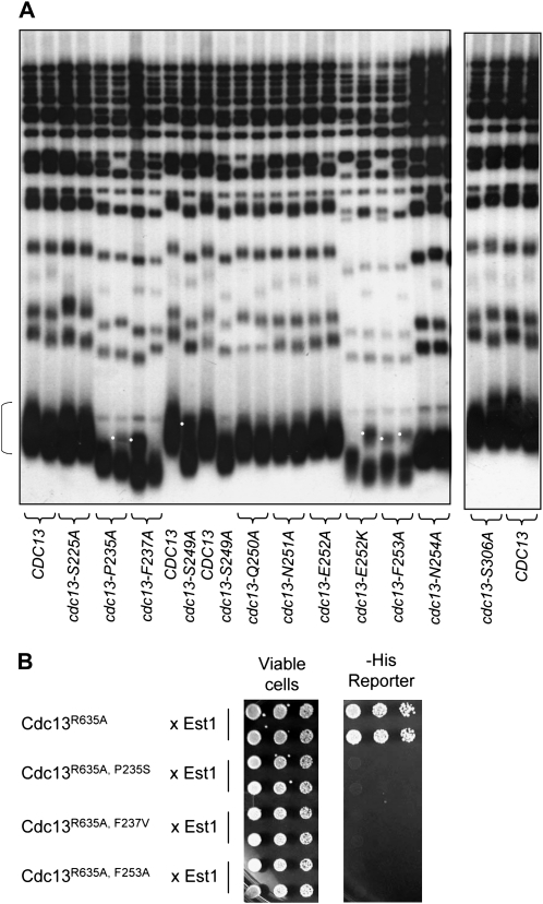 Figure 6.—