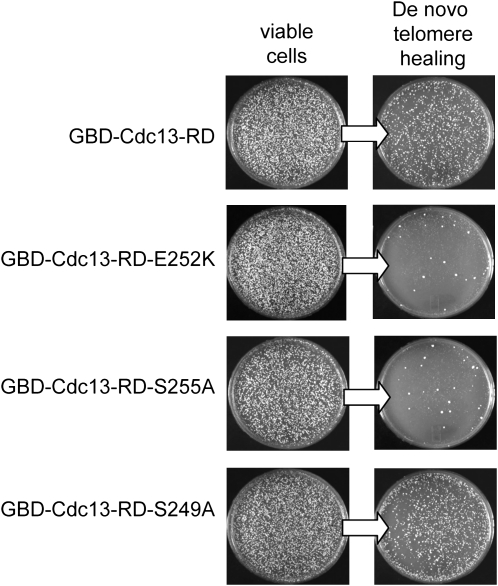 Figure 2.—