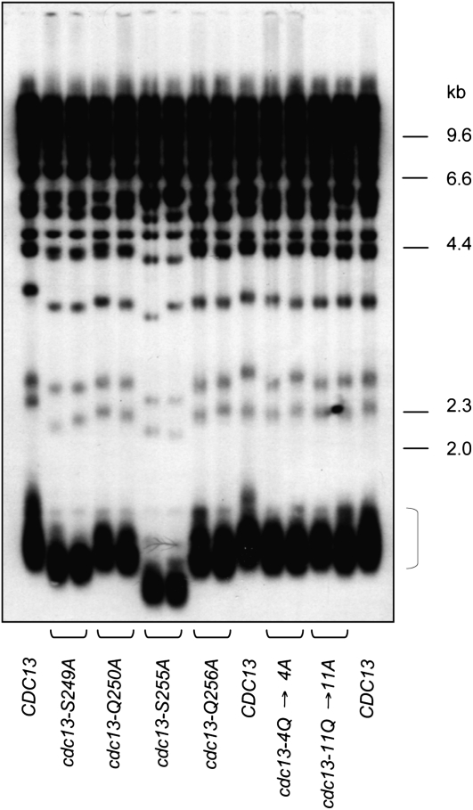 Figure 5.—