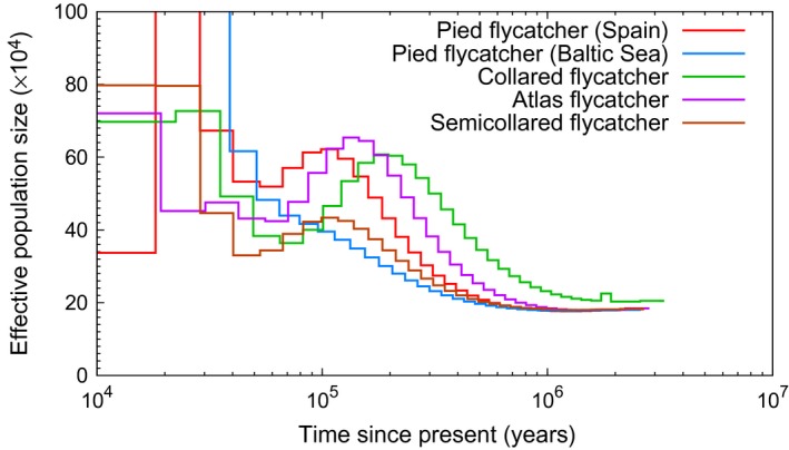 Figure 7