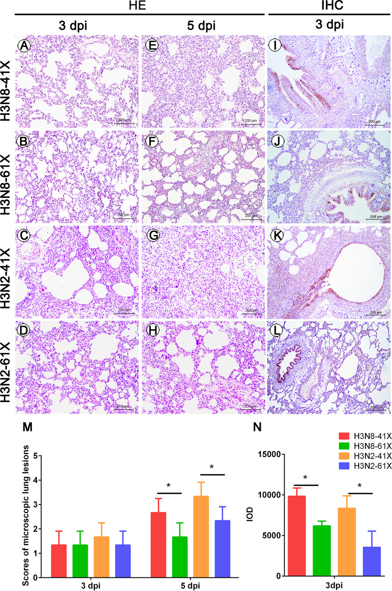 FIG 6