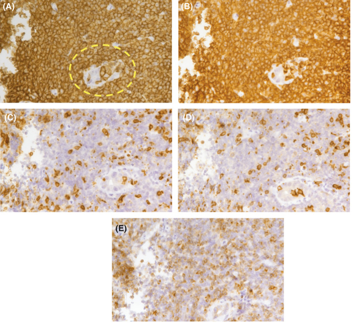 FIGURE 2