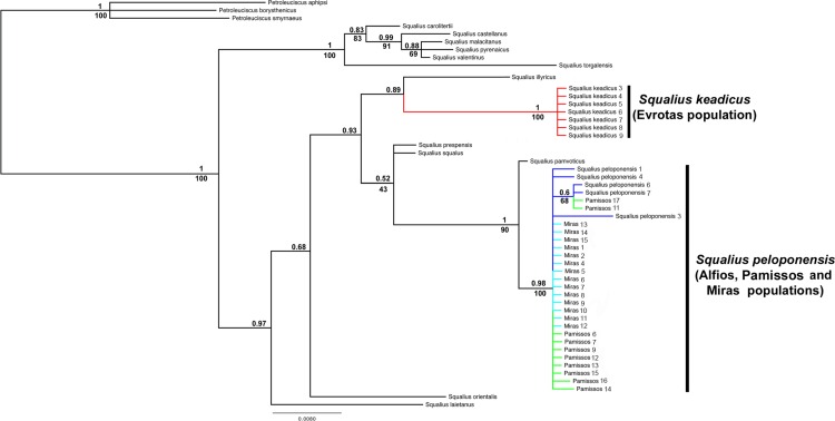 Fig 4