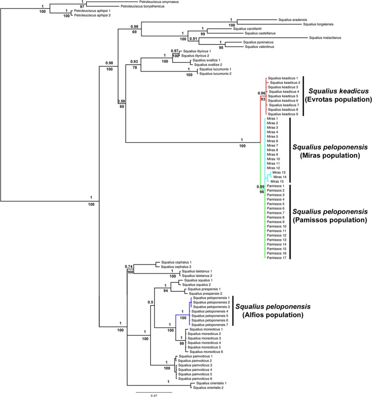 Fig 3