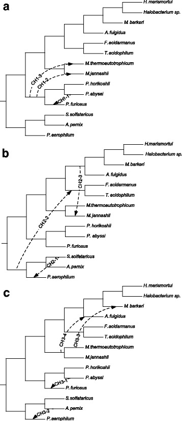 Fig. 7