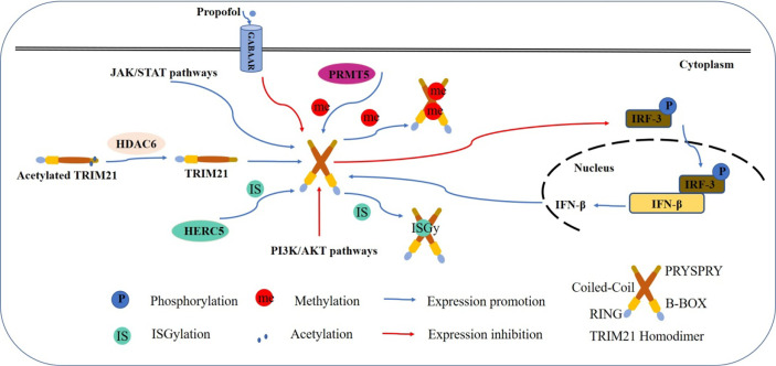 Figure 2