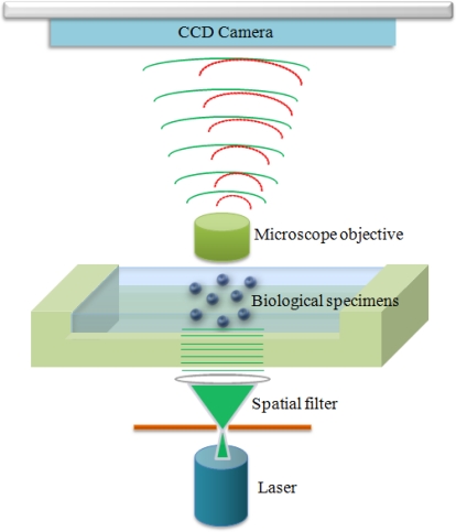 Figure 1.