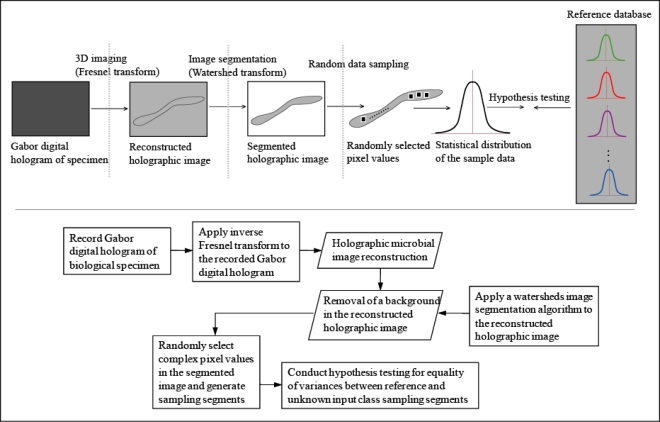 Figure 2.