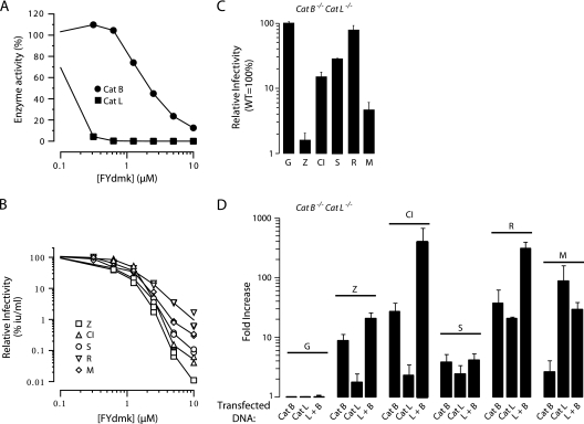 Fig 4